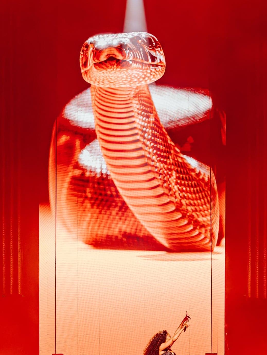 A giant snake coiled on the centre screen, flanked by glowing horns, with the stage bathed in red