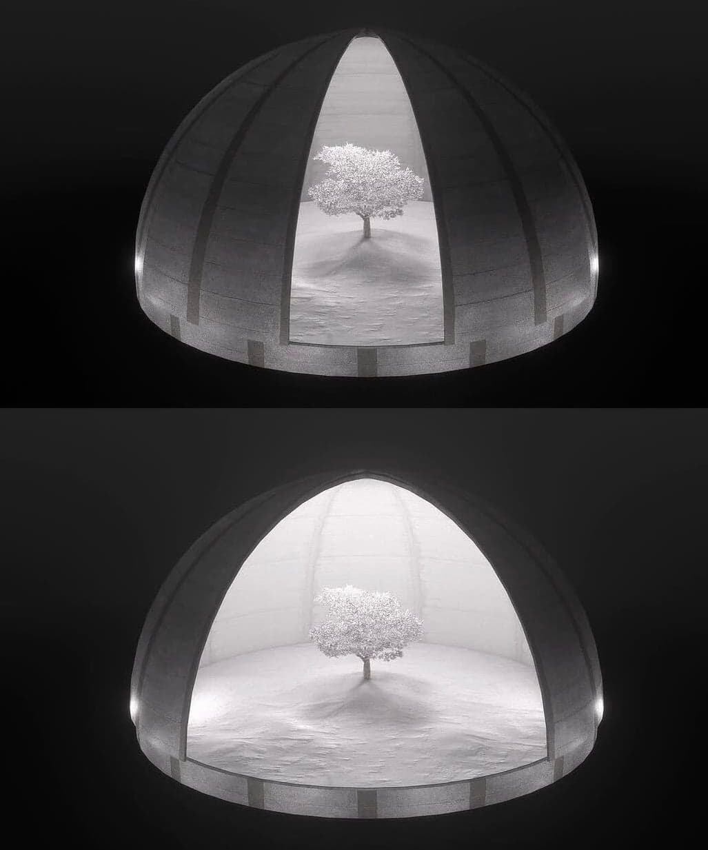 Two renders of a dome opening to reveal a white tree inside